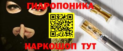 индика Анжеро-Судженск